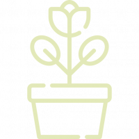 pot-de-fleur.png pot-de-fleur.png